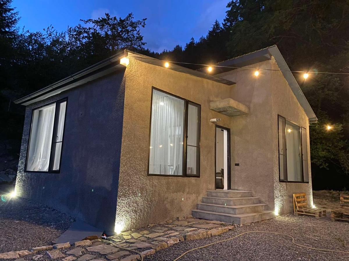 Cozy House In The Forest Borjomi Εξωτερικό φωτογραφία