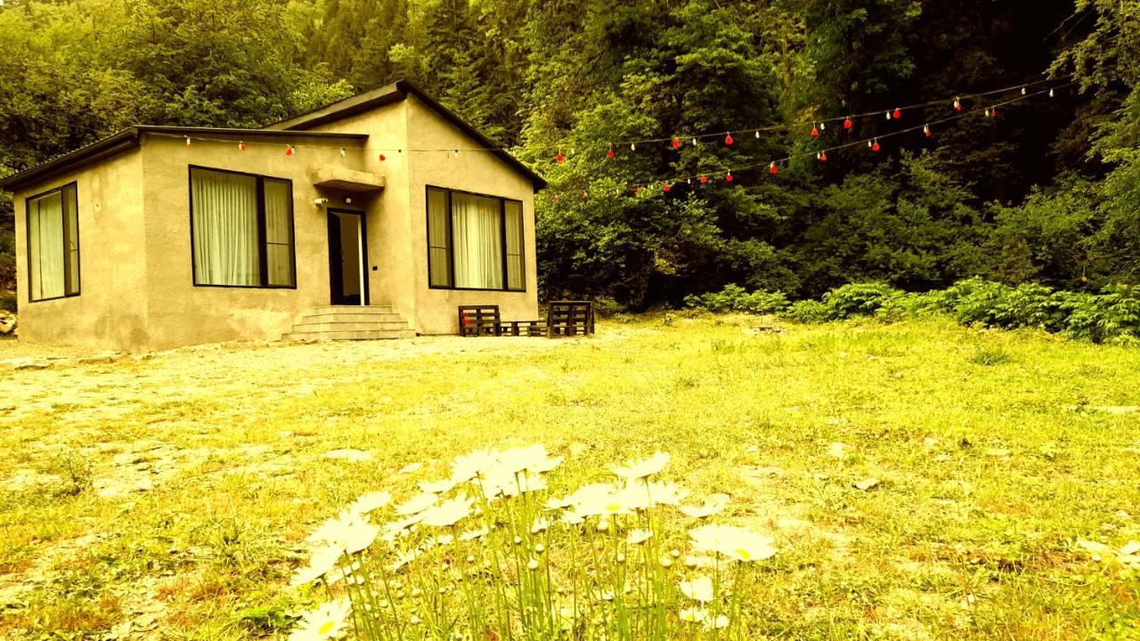 Cozy House In The Forest Borjomi Εξωτερικό φωτογραφία